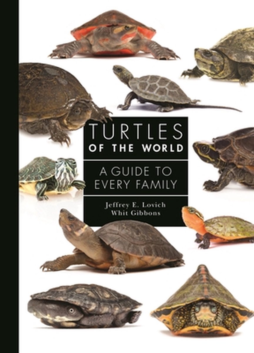 Omslag van A Guide to Every Family - Turtles of the World