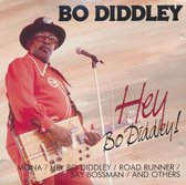Hey Bo Diddley!