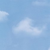 Decoratie plakfolie blauwe lucht met wolken 45 cm x 2 meter zelfklevend - Decoratiefolie - Meubelfolie