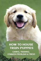 How to House Train Puppies: Caring, Training, Common Problems & Tricks