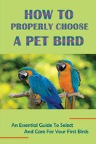 How To Properly Choose A Pet Bird: An Essential Guide To Select And Care For Your First Birds