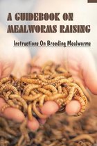 A Guidebook On Mealworms Raising: Instructions On Breeding Mealworms