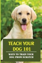 Teach Your Dog 101: Ways To Train Your Dog From Scratch