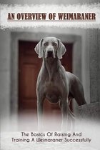 An Overview Of Weimaraner: The Basics Of Raising And Training A Weimaraner Successfully