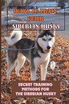 Ways To Train Your Siberian Husky: Secret Training Methods For The Siberian Husky