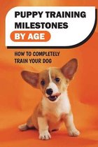 Puppy Training Milestones By Age: How To Completely Train Your Dog