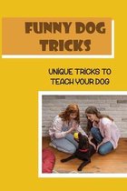 Funny Dog Tricks: Unique Tricks To Teach Your Dog