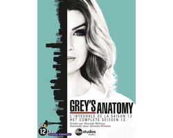 Grey's Anatomy - Seizoen 13 (DVD)