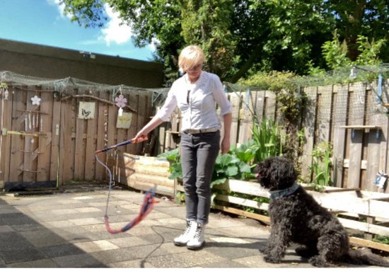 Hondenspeelgoed, Flirt Pole maat 1 in de kleuren offwhite, zwart, bruin. Hondenhengel - hondenspeelgoed - Hondentraining - hondenspeelhengel - trektouw - spelen en leren - dog training - ShukoGear by MadeByShuko