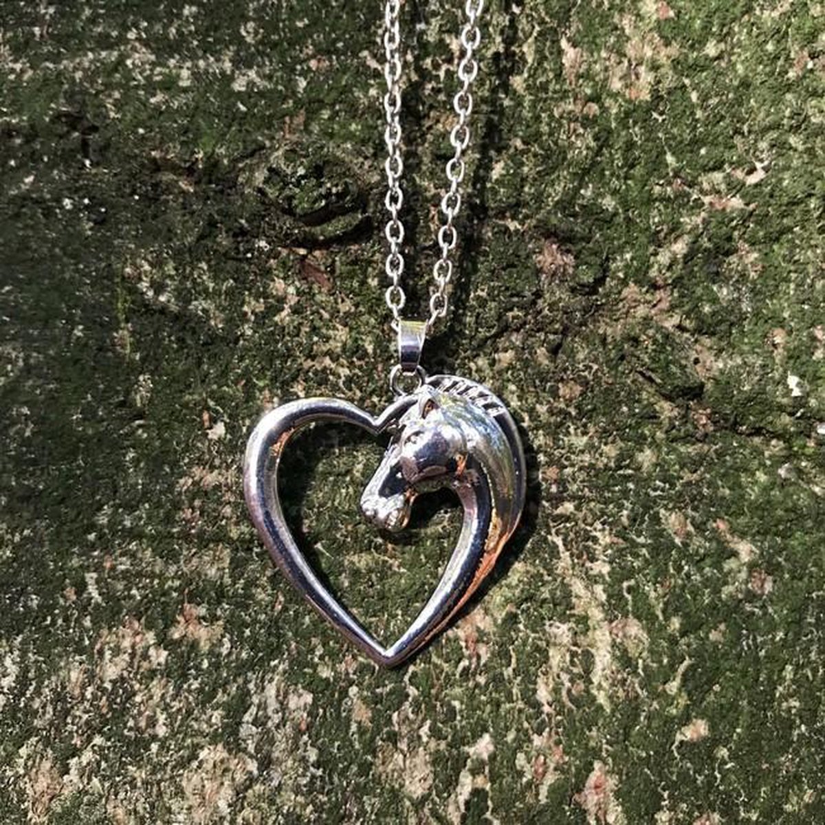 GoedeDoelen.Shop | Ketting A Big Heart for Horses | Paarden Ketting | Love Horses | Ketting Met Paardenhoofd | Wellness-House