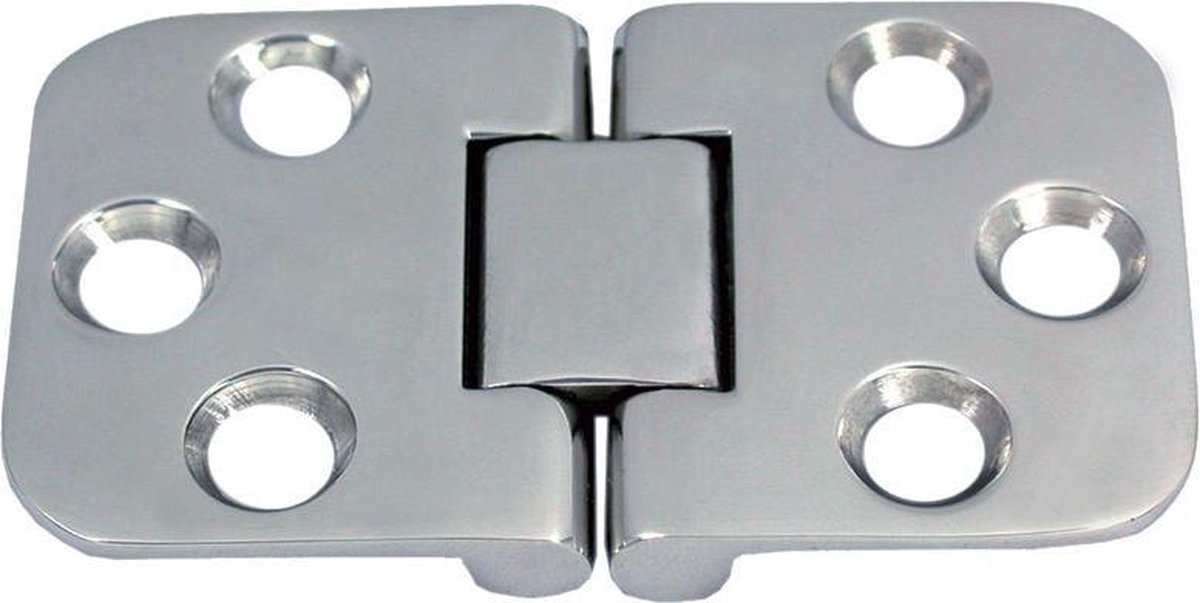 Scharnier 70 x 42 mm RVS-316 (A4)