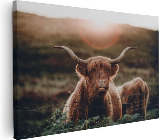 Artaza Canvas Schilderij Schotse Hooglander Koe In De Zon - 90x60 - Foto Op Canvas - Canvas Print - Muurdecoratie