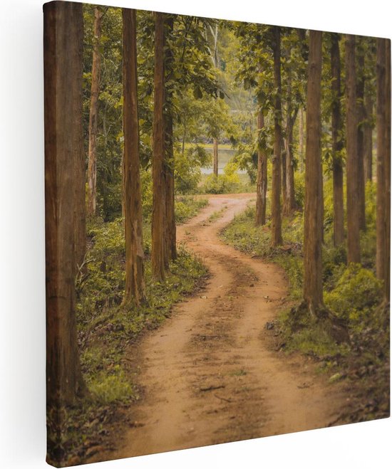 Artaza Canvas Schilderij Pad In Het Bos Met Bomen - 50x50 - Foto Op Canvas - Canvas Print