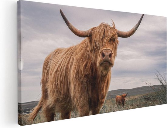 Artaza Peinture sur toile Highlander écossais vaches dans le pâturage – 80 x 40 – Image sur toile – Impression sur toile