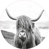 Muurcirkel Hooglander