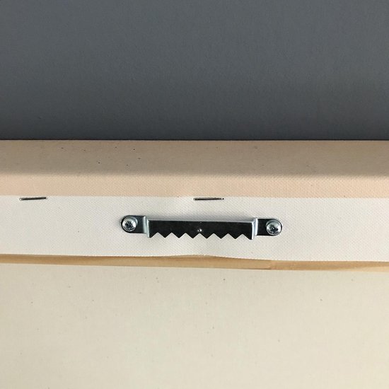Vue latérale d'une peinture avec une vis à crémaillère pour suspension.