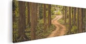 Artaza Canvas Schilderij Pad In Het Bos Met Bomen - 120x40 - Groot - Foto Op Canvas - Canvas Print