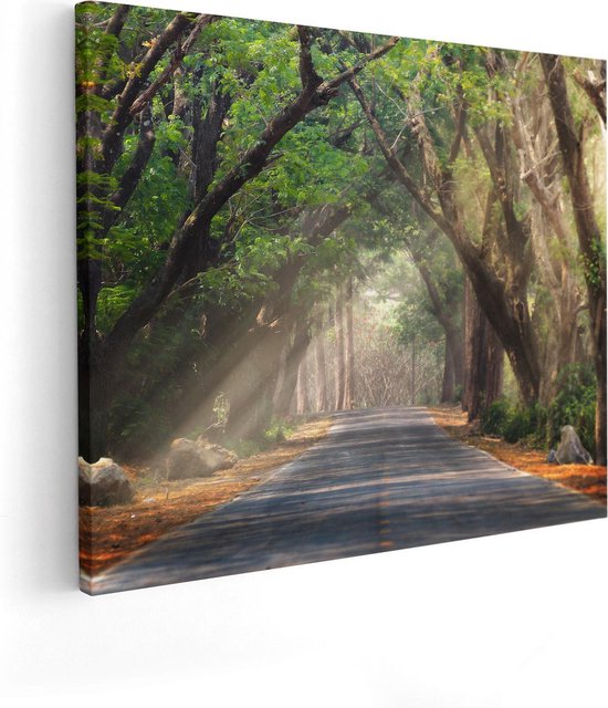 Artaza Canvas Schilderij Weg Omringd Met Bomen - 100x80 - Groot - Foto Op Canvas - Canvas Print