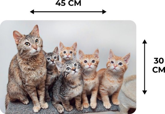 Placemat - Placemats kunststof - Kat - Kittens - Vacht - 45x30 cm - 6 stuks - Hittebestendig - Anti-Slip - Onderlegger - Afneembaar