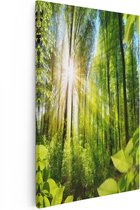 Artaza Canvas Schilderij Weg Omringd Met Bomen In Het Bos - 40x60 - Poster Foto op Canvas - Canvas Print