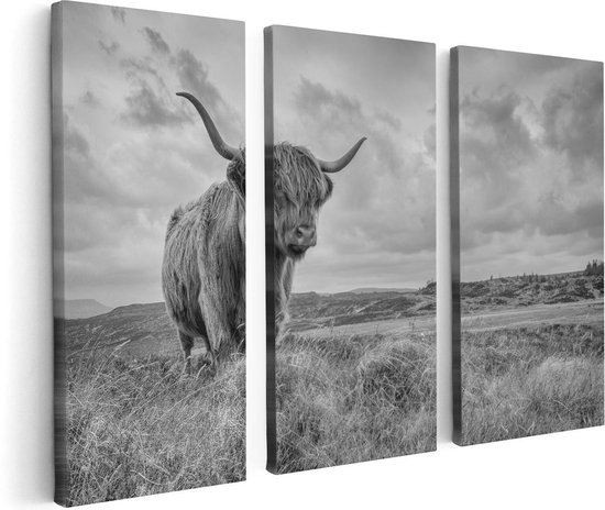 Artaza - Triptyque de peinture sur toile - Highlander écossais dans le pâturage - Zwart Wit - 120 x 80 - Photo sur toile - Impression sur toile
