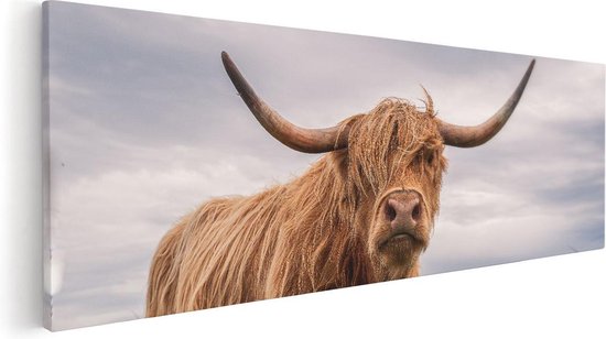 Artaza Peinture sur Toile Highlander écossais Vaches Dans Le Pâturage - 120x40 - Groot - Photo sur Toile - Impression sur Toile