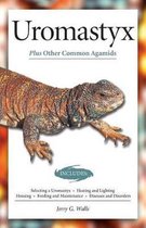 Uromastyx (Advanced Vivarium Systems)