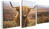 Artaza Canvas Schilderij Drieluik Schotse Hooglander Koe In Het Veld - 120x60 - Foto Op Canvas - Canvas Print