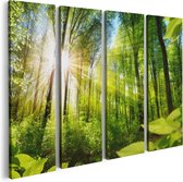 Artaza Canvas Schilderij Vierluik Weg Omringd Met Bomen In Het Bos - 80x60 - Foto Op Canvas - Canvas Print