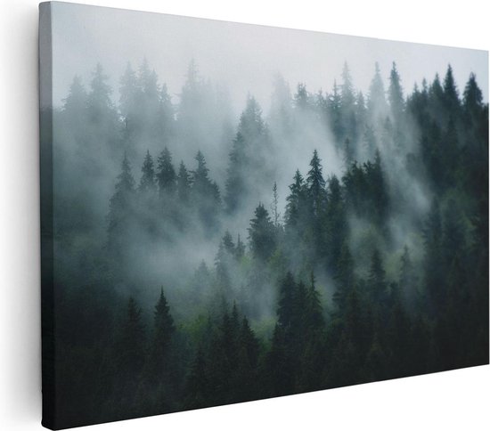 Artaza Canvas Schilderij Bos Met Bomen In De Mist - 60x40 - Foto Op Canvas - Canvas Print