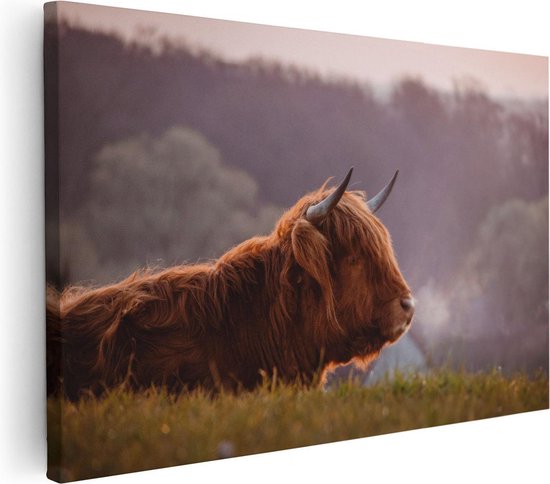 Artaza Canvas Schilderij Schotse Hooglander Koe Ligt In Het Gras - 120x80 - Groot - Foto Op Canvas - Wanddecoratie Woonkamer