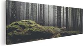 Artaza Canvas Schilderij Bos Met Mos Op Rotsen - 60x20 - Foto Op Canvas - Canvas Print