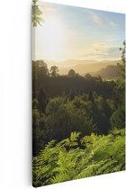 Artaza - Peinture sur toile - Coucher de soleil d'une forêt - 60 x 90 - Photo sur toile - Impression sur toile