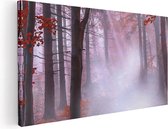 Artaza Canvas Schilderij Rood Bos Met Bomen - 100x50 - Groot - Foto Op Canvas - Canvas Print