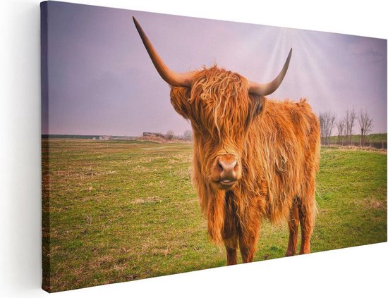 Artaza Canvas Schilderij Bruine Schotse Hooglander Koe - Kleur - 100x50 - Groot - Foto Op Canvas - Canvas Print