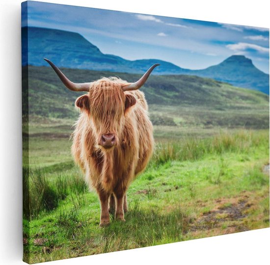 Artaza Canvas Schilderij Schotse Hooglander In De Wei - Kleur - 80x60 - Foto Op Canvas - Canvas Print