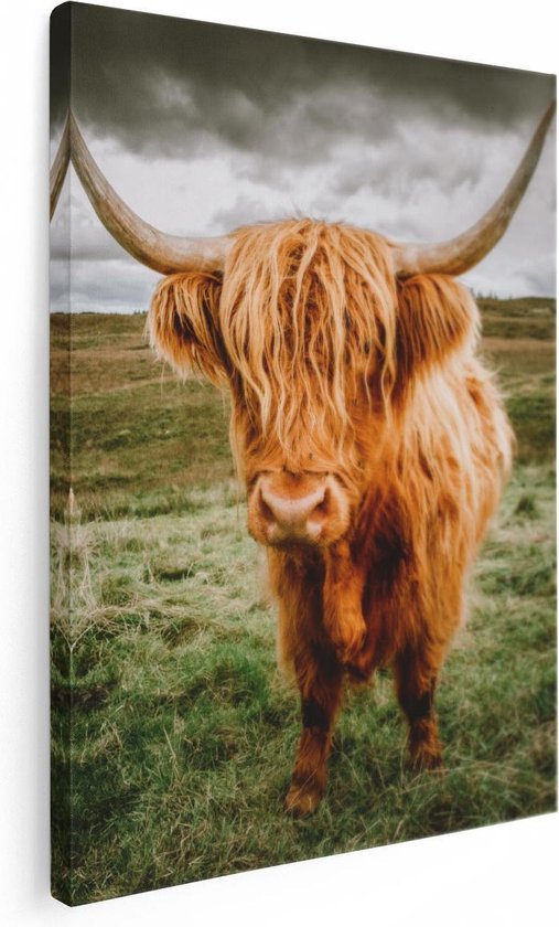 Artaza Canvas Schilderij Schotse Hooglanders In De Wei - Kleur - 30x40 - Klein - Foto Op Canvas - Canvas Print