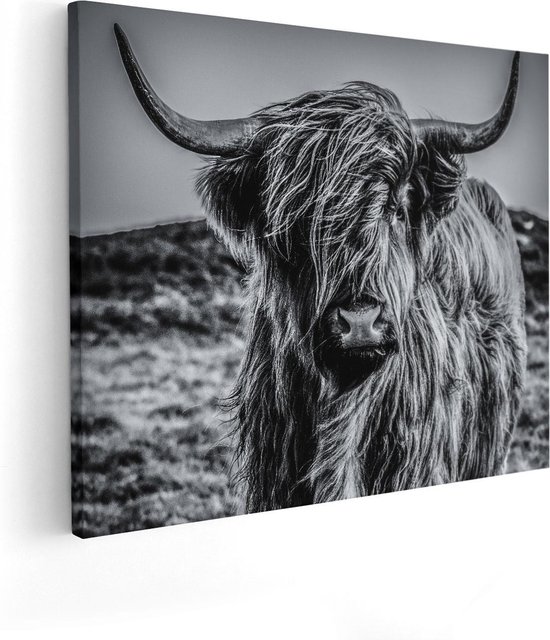 Artaza - peinture sur toile - vache Highlander écossais - Zwart Wit - 100 x 80 - Groot - photo sur toile - impression sur toile