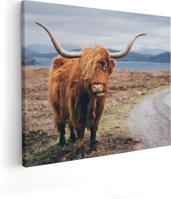 Artaza - Peinture sur toile - Vache Highlander écossais sur la route - 100 x 80 - Groot - Photo sur toile - Impression sur toile