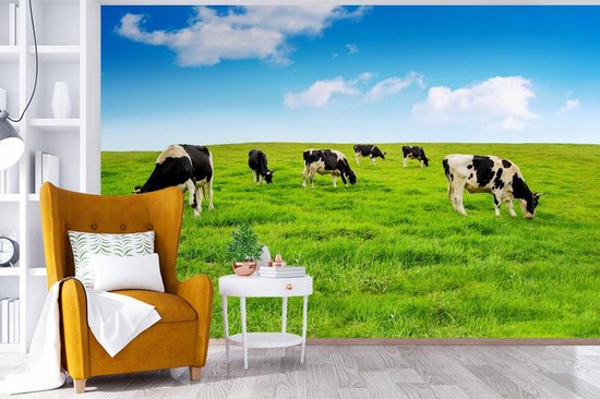 Papier peint - Papier peint photo Vache - Herbe - Ciel - Largeur 390 cm x Hauteur 260 cm