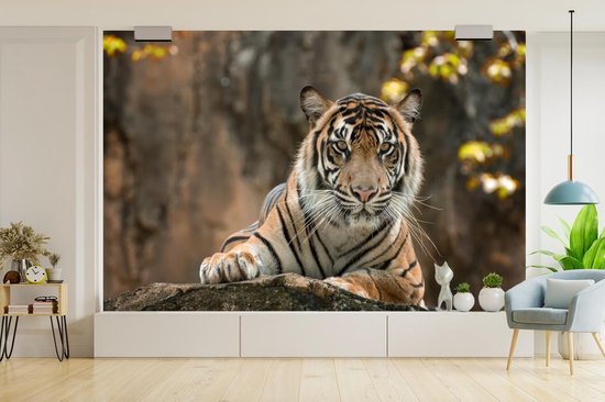 Papier Peint - Papiers Papier peint photo Tigre - Rochers - Feuilles - Largeur 420 cm x Hauteur 280 cm