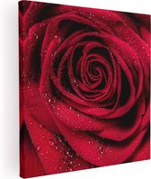 Artaza - Peinture sur toile - Rose rouge avec des gouttes d'eau - Bloem - 30x30 - Klein - Photo sur toile - Impression sur toile