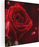 Artaza Canvas Schilderij Romantische Rode Roos  - 30x30 - Klein - Foto Op Canvas - Canvas Print