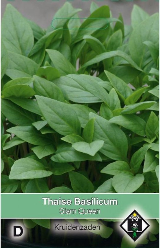 Van Hemert Zaden - Thaise Basilicum (Ocimum basilicum Siam Queen)