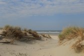 Foto Ameland op aluminium 90 bij 60  cm de wadden op zijn mooist