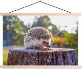Manger des lattes d'affiche textielposter hérisson vierge 150x100 cm