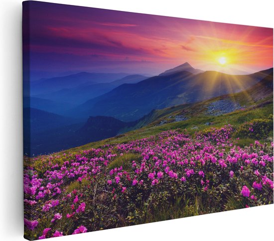 Artaza - Canvas Schilderij - Roze Rhododendron Bloemenveld - Bergen - Foto Op Canvas - Canvas Print