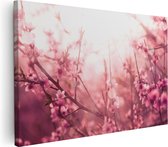 Artaza Canvas Schilderij Roze Bloesemboom Met Zonneschijn - 30x20 - Klein - Foto Op Canvas - Canvas Print