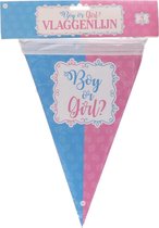 Vlaggenlijn | Geboorte | 14 vlaggen | ca. 4 meter | blauwe | roze | tekst boy or girl | H 27,5 x B 18,5 cm