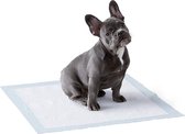 Trainingsmatten | Puppymatten | Trainingpads | 100 Stuks | 56x56 Cm